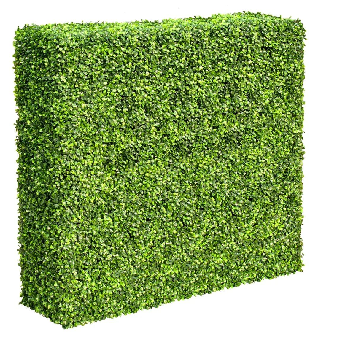 Mixed Boxwood Hedge UV Resistant 100cm Long x 100cm High - Mekamart Australia