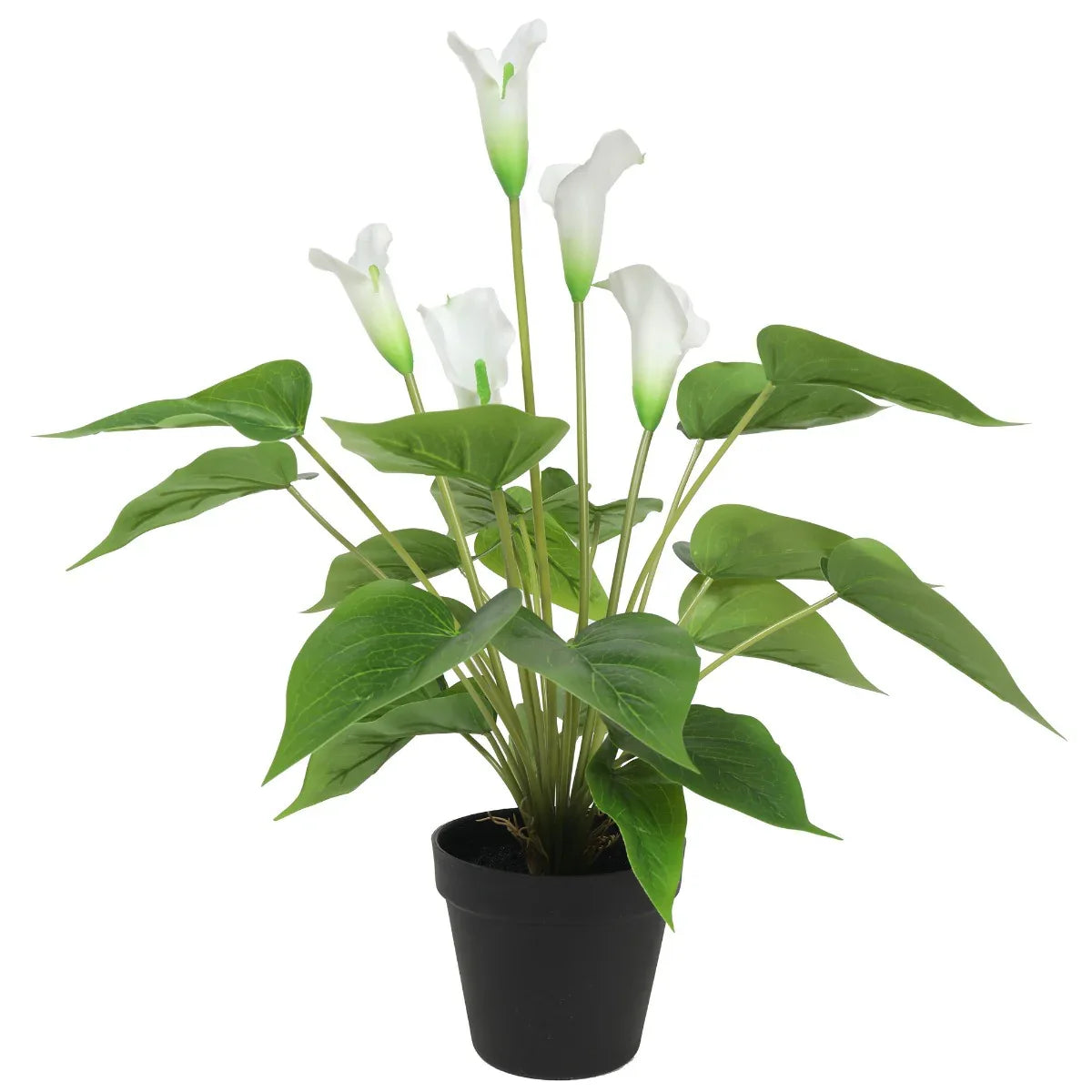 Artificial Flowering White Peace Lily / Calla Lily Plant 50cm - Mekamart Australia