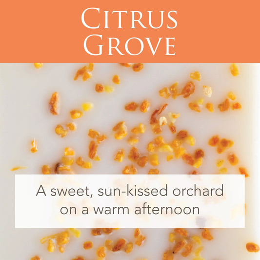 Citrus Grove 2.5 Oz Artisan Melts - Mekamart Australia