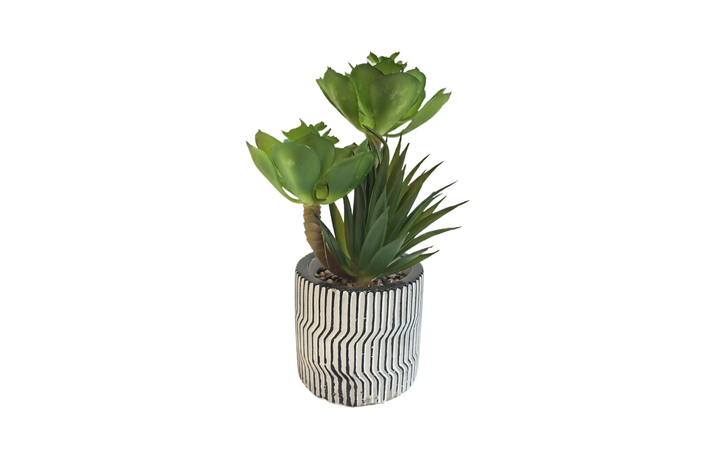 Modern Pot Succulent Plant - Mekamart Australia