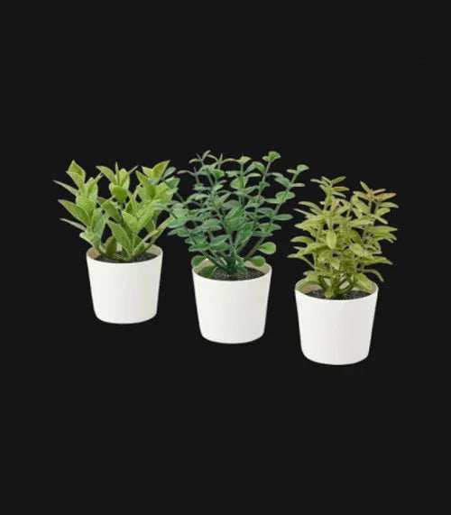 3 Pack of Artificial Herb Potted Plants in White Plastic 5cm Pot Interior Decoration - Mekamart Australia