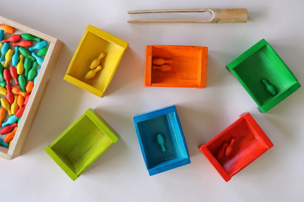 Coloured Bamboo Sorting Containers - Mekamart Australia