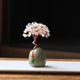 White Crystal Natural Crystal Wealth Tree - 12cm Feng Shui Decor, Elegant Office Desk Ornament - Mekamart Australia