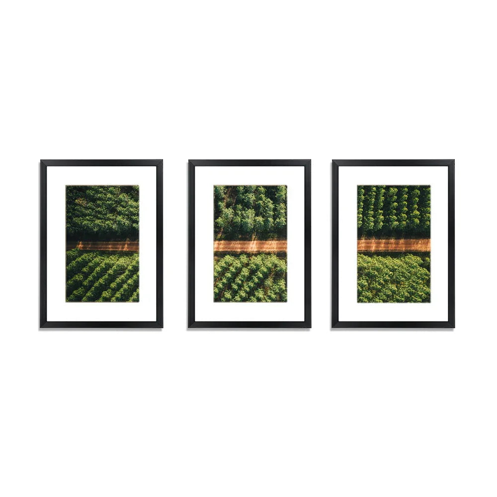 Picture Frames - Mekamart Australia