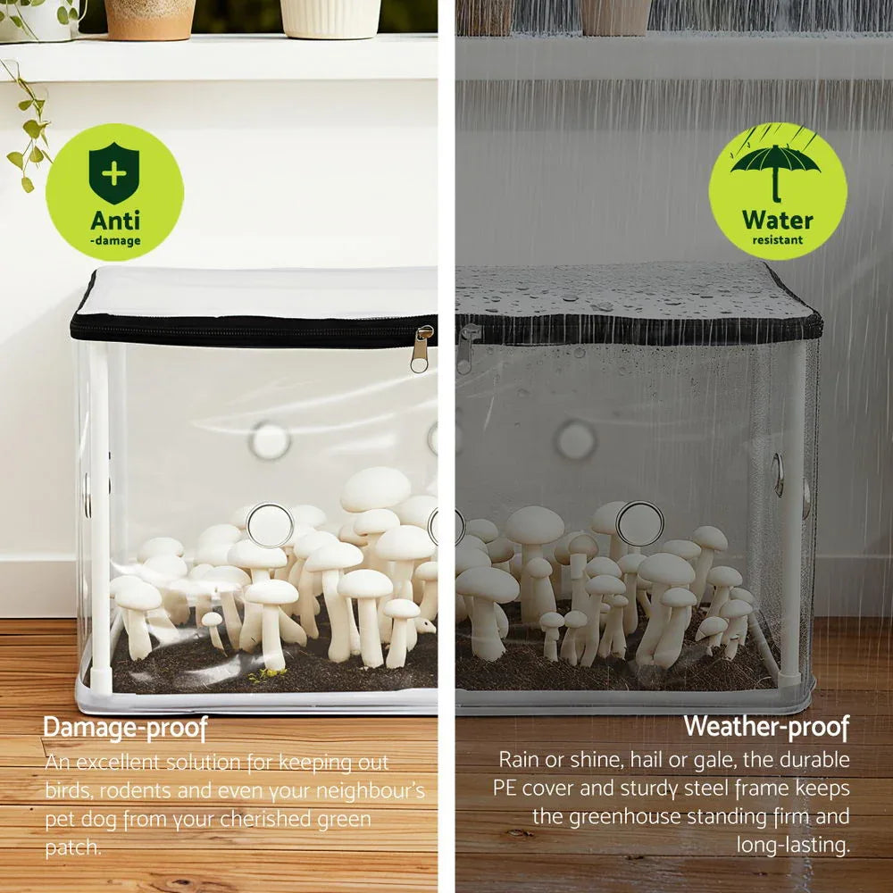 Green Fingers Mini Greenhouse 50x25x25cm PVC Cover for Mushrooms Succulents - Mekamart Australia