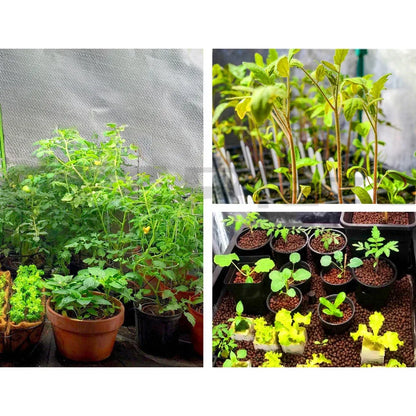 Green Fingers Grow Tent 60x60x90CM Hydroponics Kit Indoor Plant Room System - Mekamart Australia