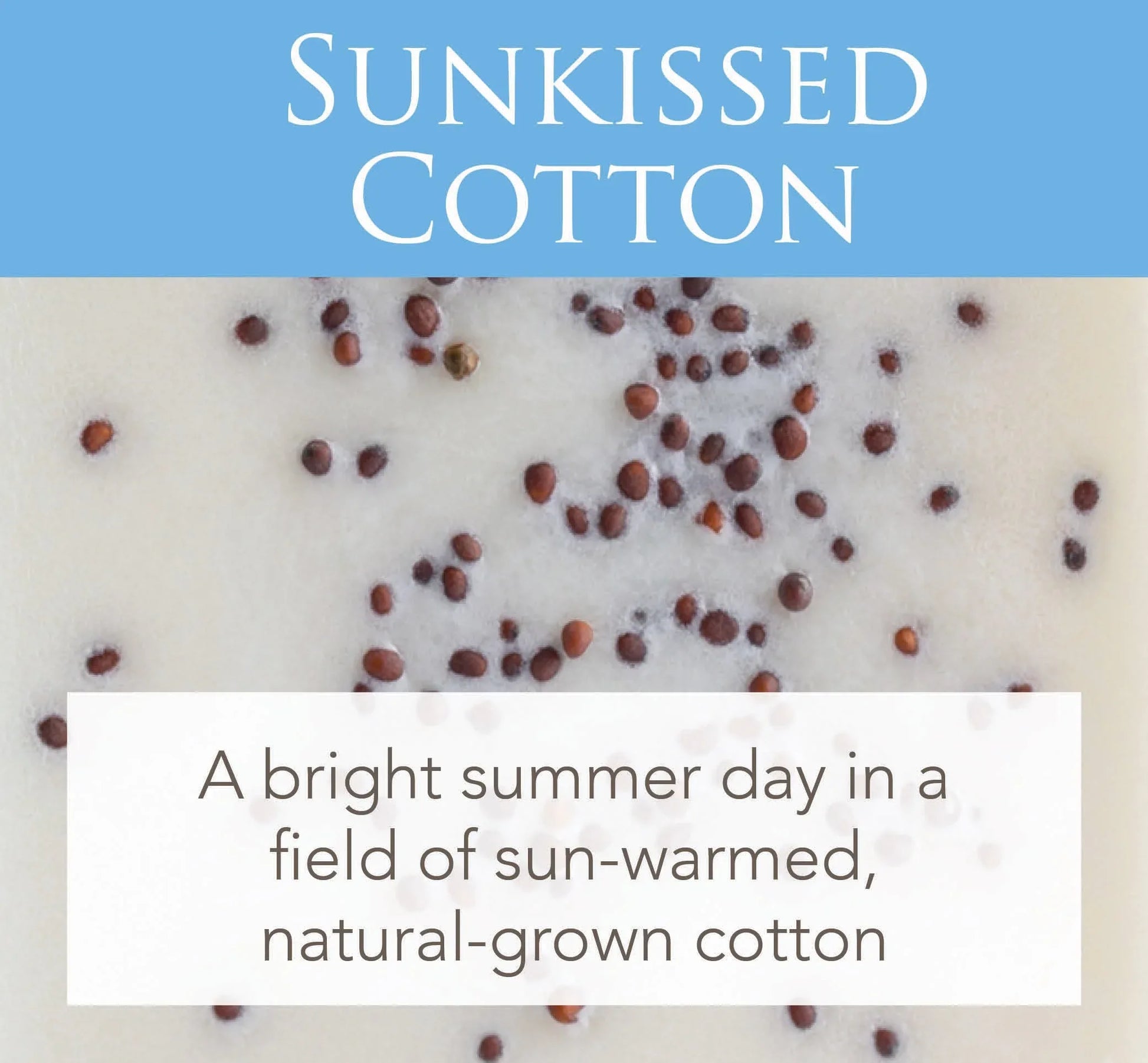 Sunkissed Cotton 2.5 Oz Artisan Melts - Mekamart Australia