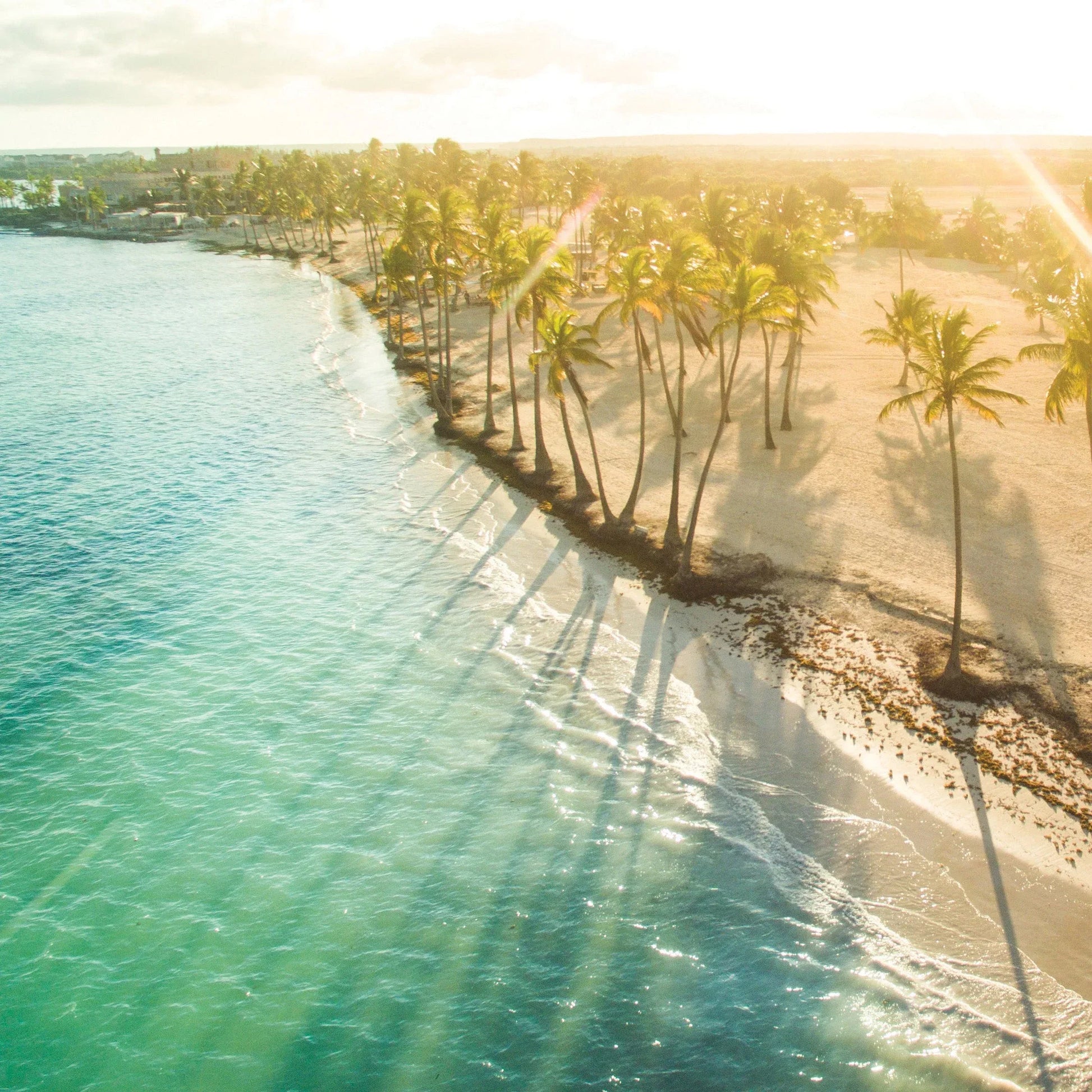 Island Paradise Odor Eliminating Melts 2.5oz - Mekamart Australia