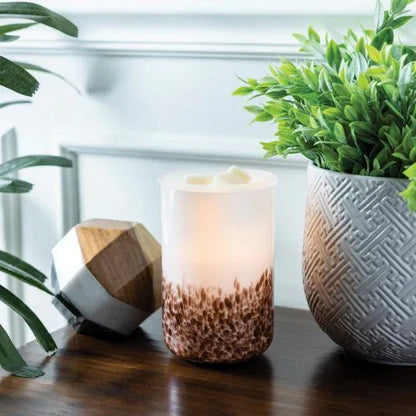 Tiger Shell Glass Illumination Warmer - Mekamart Australia