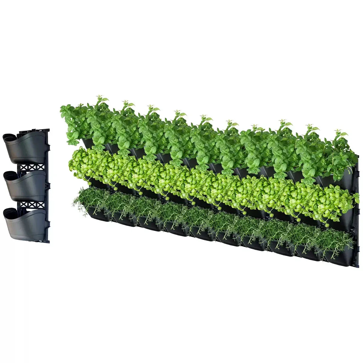 Tri large vertical garden with 10 frames and 30 pots - Mekamart Australia