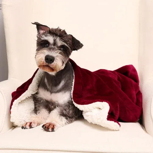 Double-side Flannel Heated Electric Throw Blanket Fast Heating Warm Washable red - Mekamart Australia
