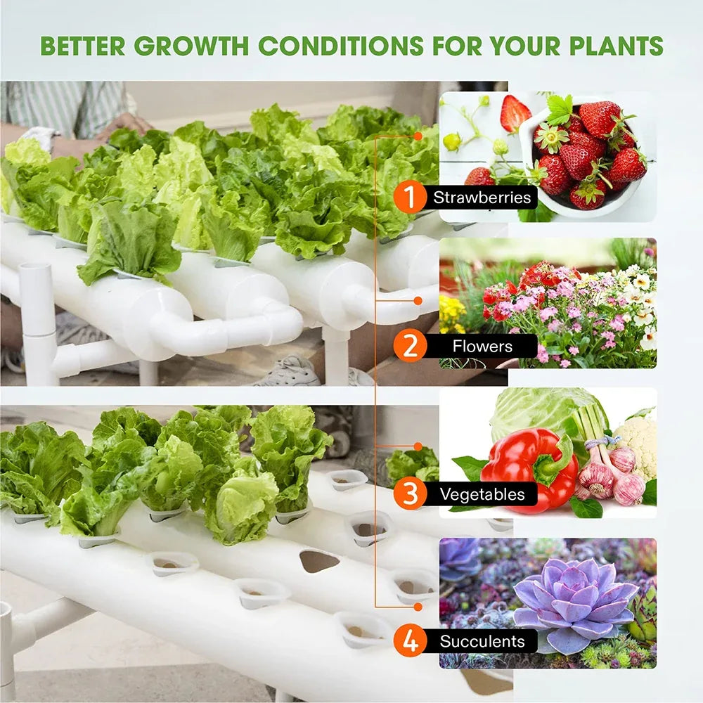 36 Sites Hydroponic Grow Tool Kits Vegetable Garden System 220V Water Pump - Mekamart Australia