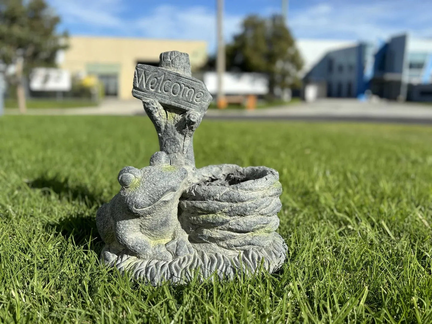 Welcome Frog Planter - Mekamart Australia