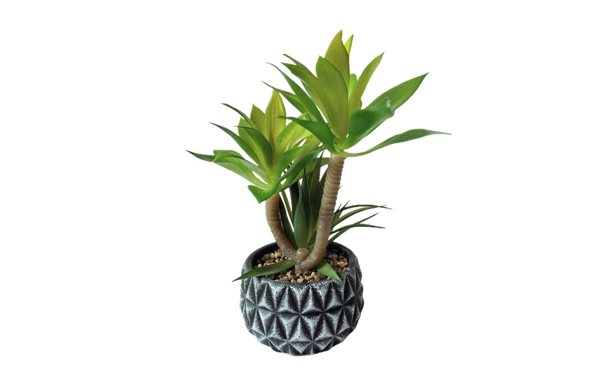Diamond Pattern Pot Succulent Plant - Mekamart Australia