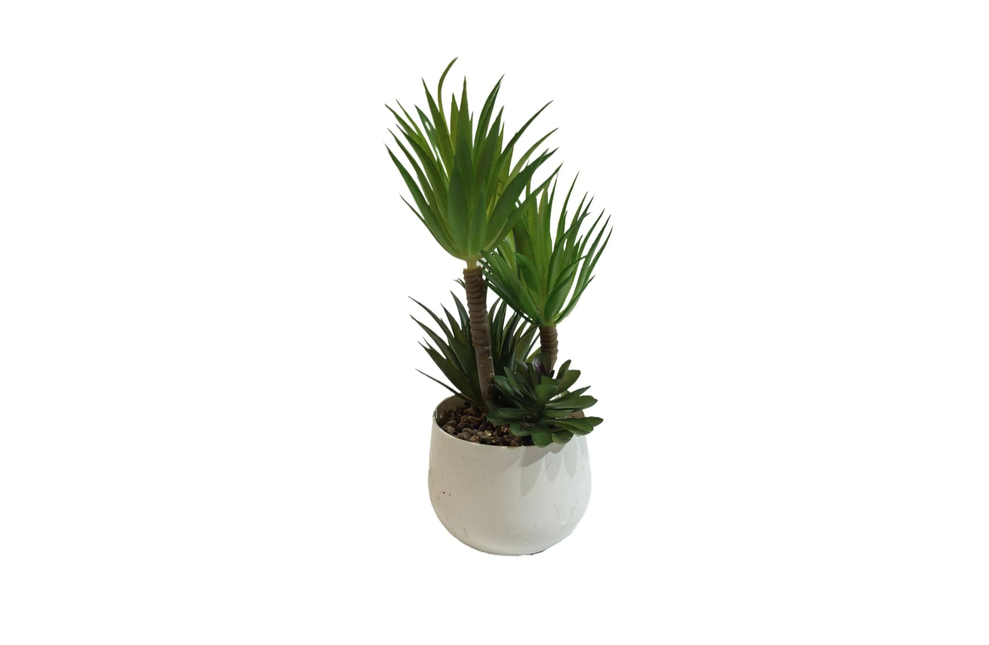 White Pot Succulent Plant 23cm - Mekamart Australia