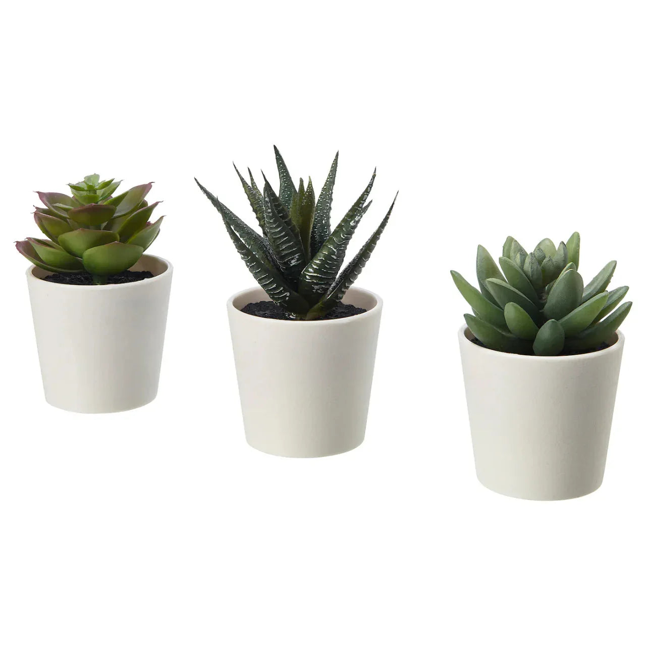 3 Pack of Artificial Succulent Potted Plants in White Plastic 6cm Pot Interior Decoration - Mekamart Australia