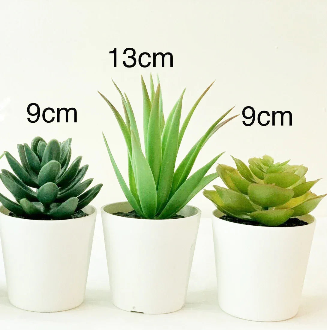 3 Pack of Artificial Succulent Potted Plants in White Plastic 6cm Pot Interior Decoration - Mekamart Australia