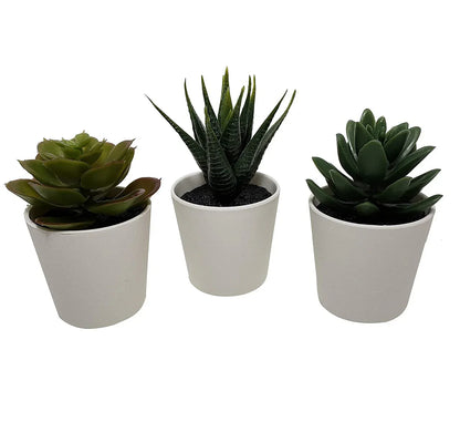3 Pack of Artificial Succulent Potted Plants in White Plastic 6cm Pot Interior Decoration - Mekamart Australia