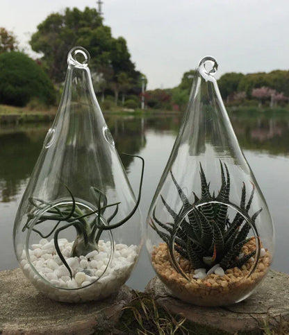 25 Bulk Pack of Hanging Clear Glass Tealight Candle Holder Tear Drop Pear Hour Glass Shape - 20cm High Terrarium Plant Mini Garden Holder Decoration Craft Gift - Mekamart Australia
