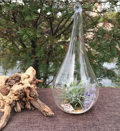 25 Bulk Pack of Hanging Clear Glass Tealight Candle Holder Tear Drop Pear Shape - 12cm High - Terrarium Plant Mini Garden Holder Decor - Mekamart Australia