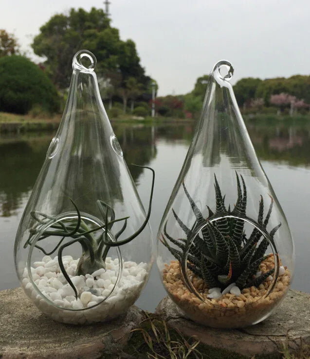 25 Bulk Pack of Hanging Clear Glass Tealight Candle Holder Tear Drop Pear Shape - 12cm High - Terrarium Plant Mini Garden Holder Decor - Mekamart Australia