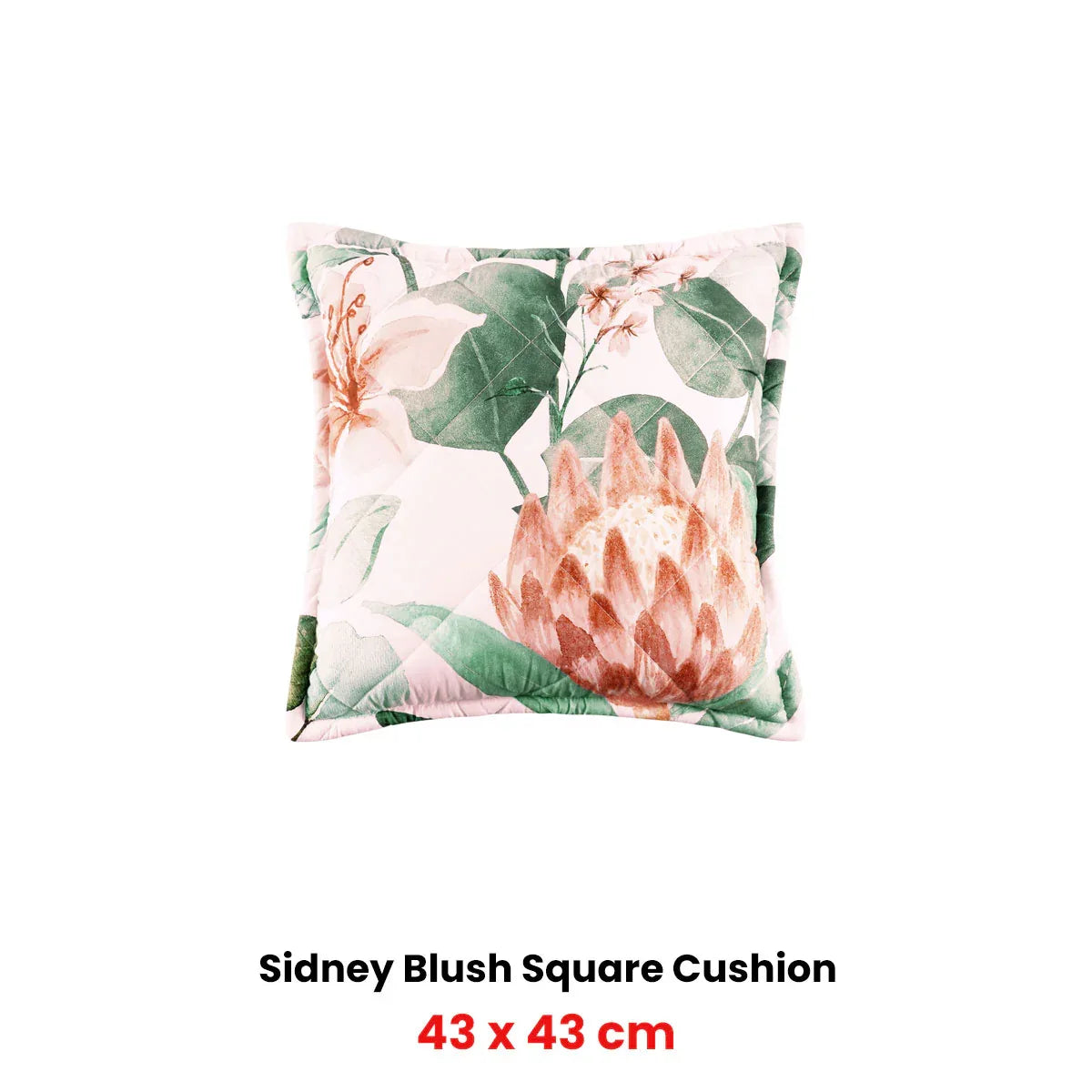 Bianca Sidney Blush Coordinate Square Filled Cushion 43 x 43cm - Mekamart Australia