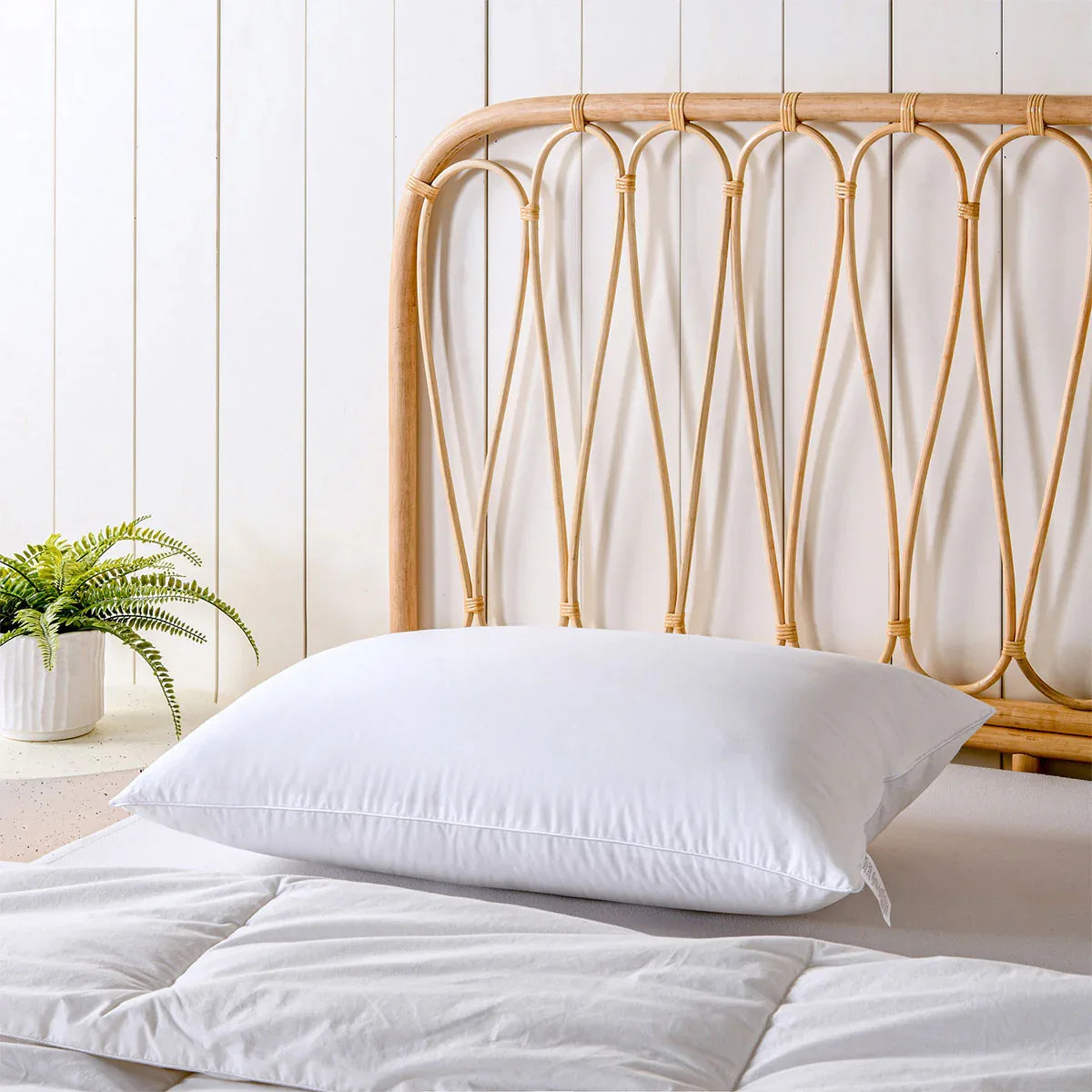 Bianca Natural Sleep White Bamboo Blend Medium Profile Pillow - Mekamart Australia