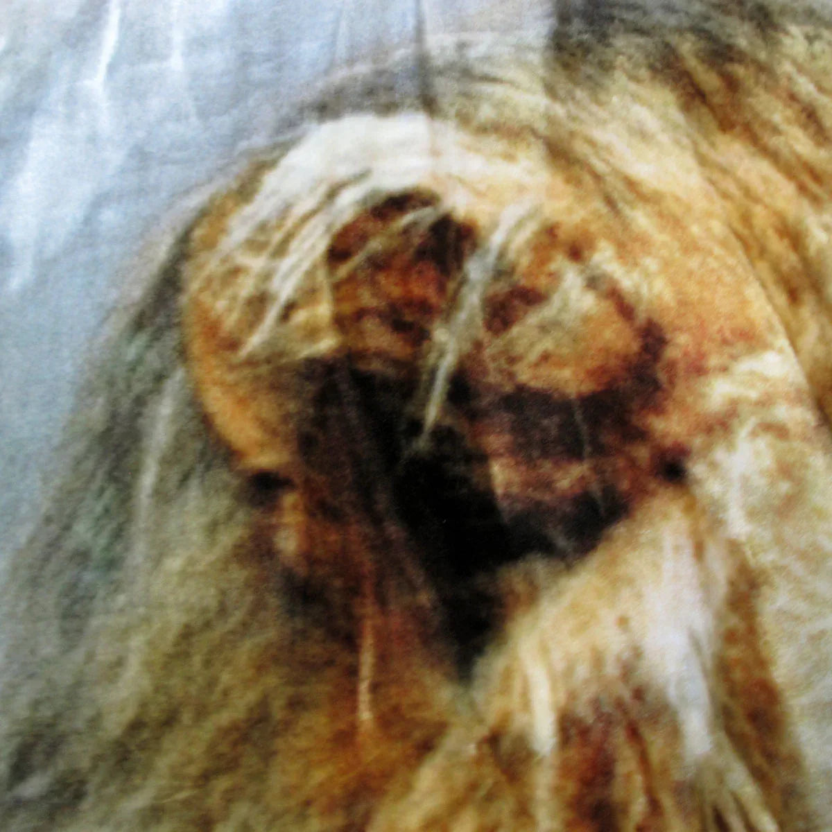 800GSM Luxury Reversible Animal Pattern Mink Blanket Queen 200 x 240 cm Lion Tiger Brown - Mekamart Australia