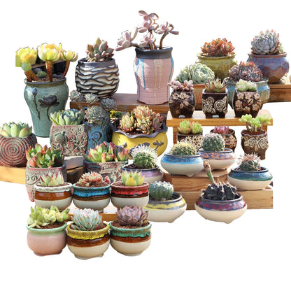 4/5/6 Pots Set Ceramic Clay Pottery Pots Succulent Flower Planter Draining Hole(Style 02# 4 Pots Set) - Mekamart Australia