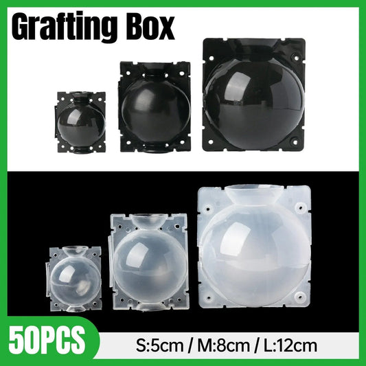 50pcs Plant Rooting Device High Pressure Grafting Box for Seedling Branch Garden - Clear M-50PCS - Mekamart Australia