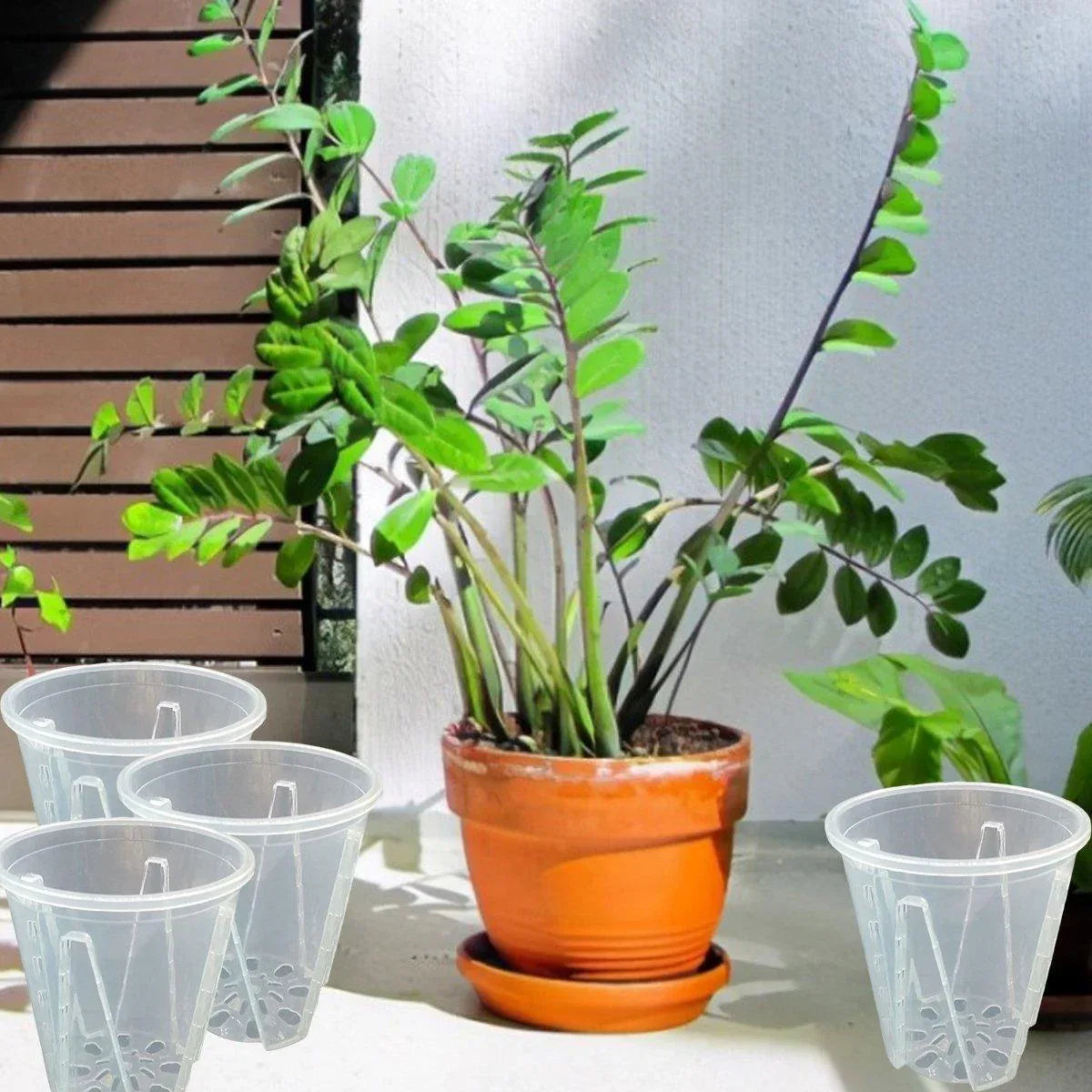 10xClear Plastic Orchid Pots with Holes for Phalaenopsis Root Aeration - Mekamart Australia