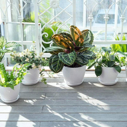 6PCS Simple Plastic Round Plant Pots Vertical Stripes Flower Pot Green Gardening - Green - Mekamart Australia