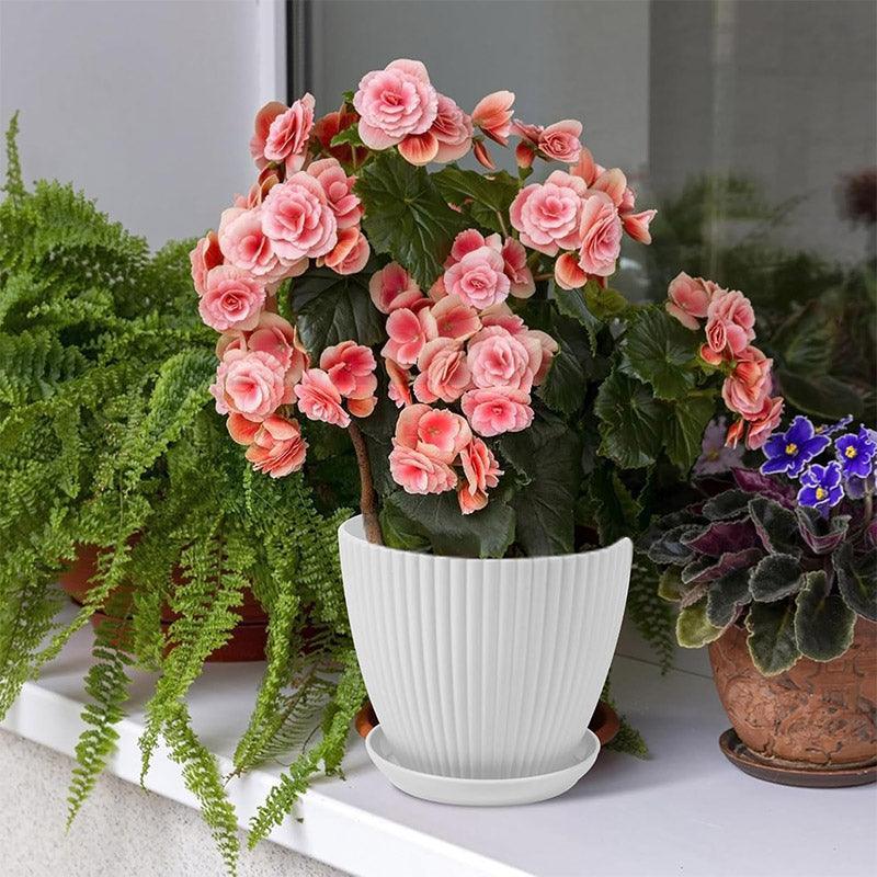 6PCS Simple Plastic Round Plant Pots Vertical Stripes Flower Pot Green Gardening - Green - Mekamart Australia