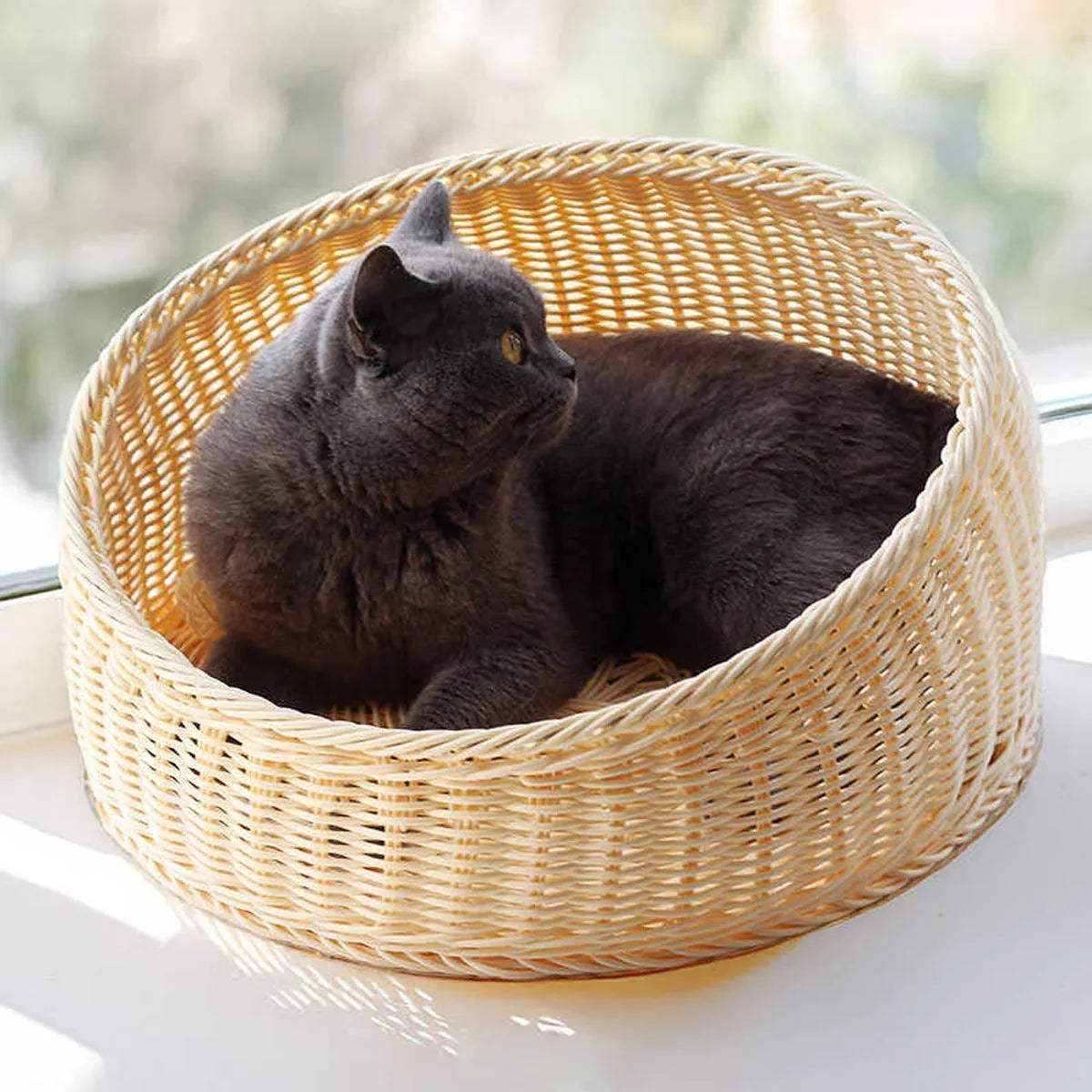 Rattan Cat Nest Four Seasons Open Cat House Summer Bed for Cats Pet Supplies - Green - Mekamart Australia