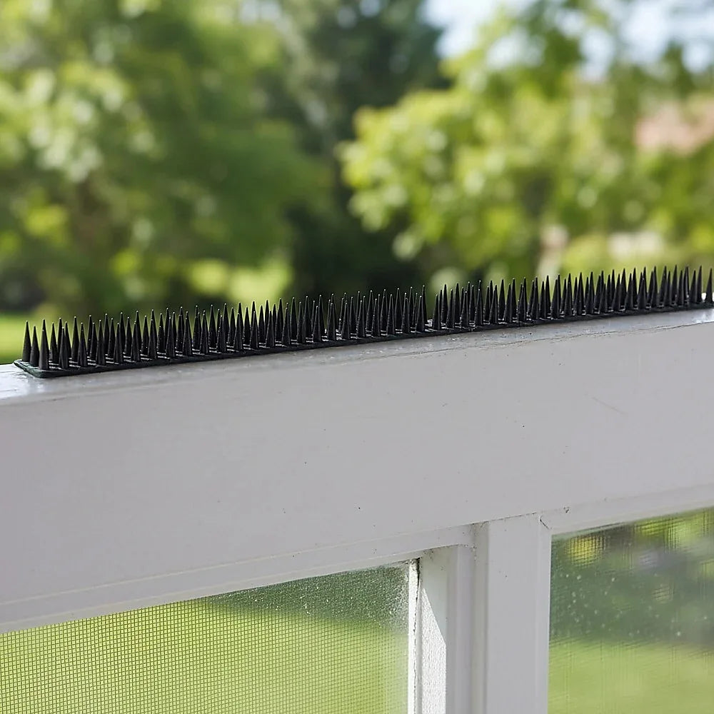 12pc Bird Spikes Human Cat Possum Mouse Pest Control Spiked Fence Wall Deterrent - Mekamart Australia