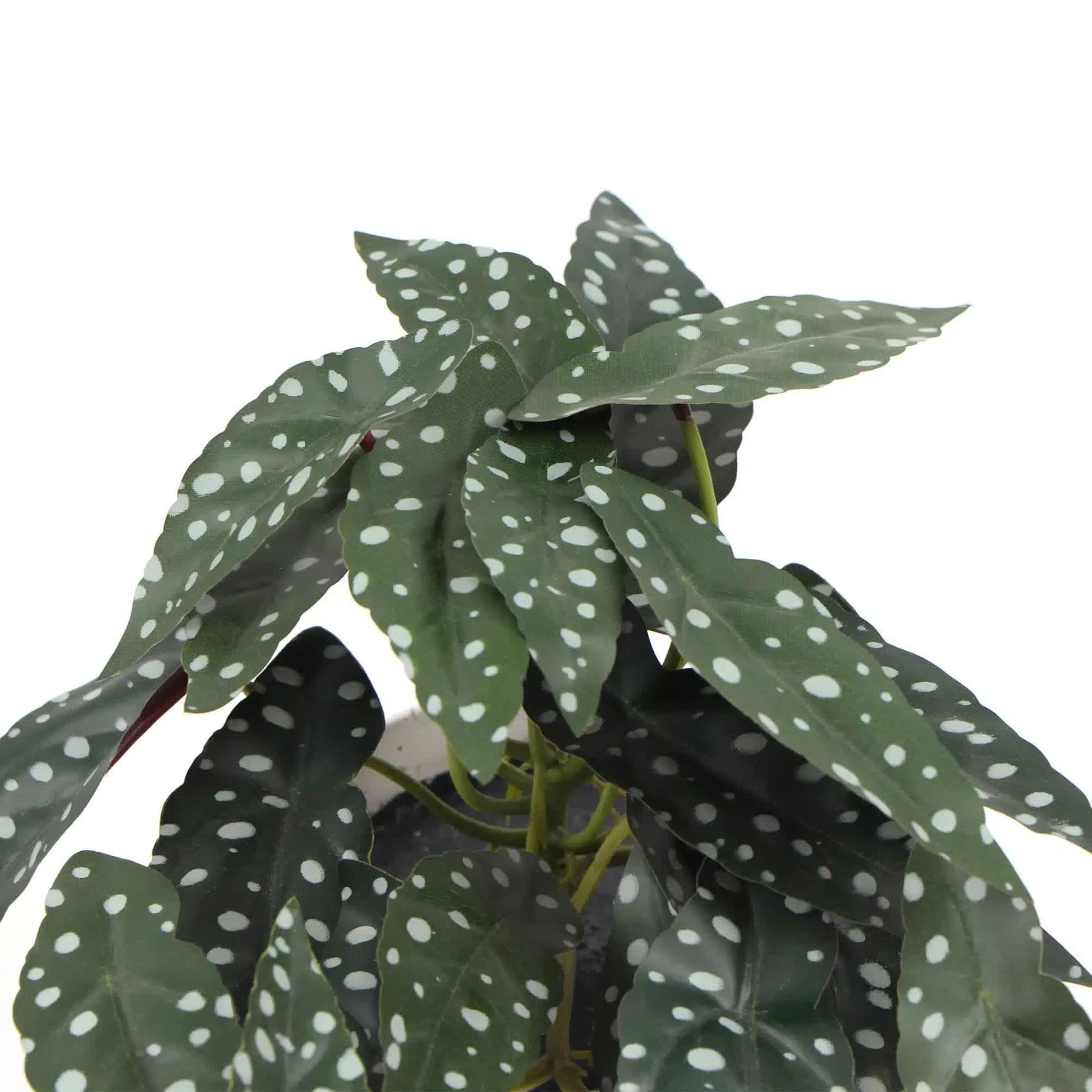 Artificial Begonia Maculata Plant In Decorative Bowl 30cm - Mekamart Australia
