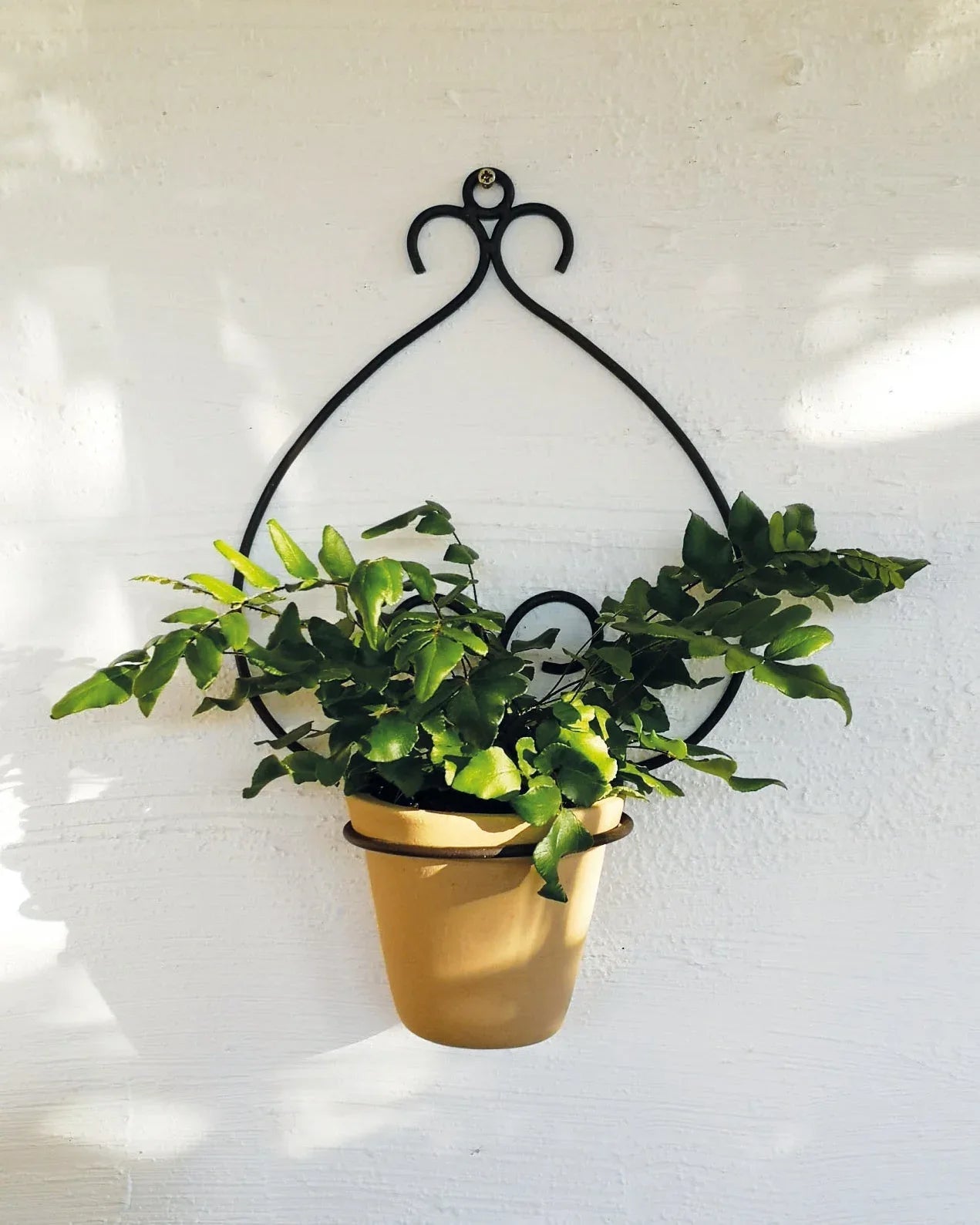 casa-verde-goya-wall-pot-holder-with-pot-cv05158 - Mekamart Australia