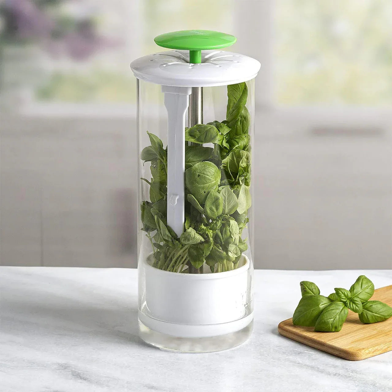 Green Premium Herb Savor & Freshness Keeper - Extends Life of Herbs, Cilantro, Parsley & More - Mekamart Australia