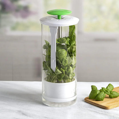 Green Premium Herb Savor & Freshness Keeper - Extends Life of Herbs, Cilantro, Parsley & More - Mekamart Australia
