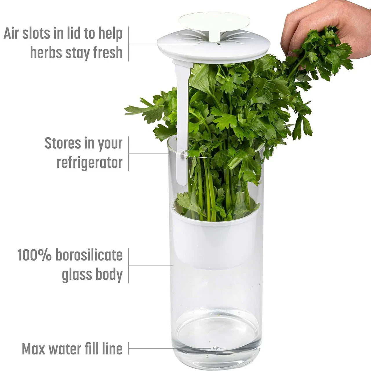 Green Premium Herb Savor & Freshness Keeper - Extends Life of Herbs, Cilantro, Parsley & More - Mekamart Australia