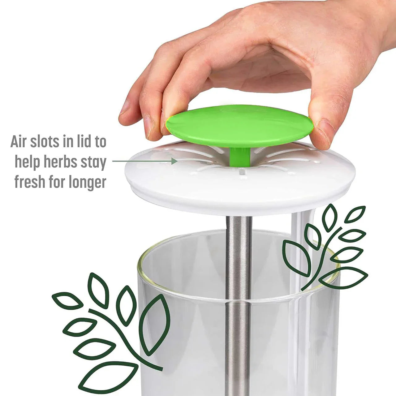 Green Premium Herb Savor & Freshness Keeper - Extends Life of Herbs, Cilantro, Parsley & More - Mekamart Australia