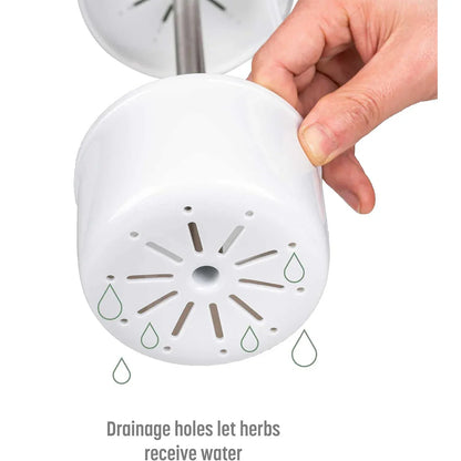 Green Premium Herb Savor & Freshness Keeper - Extends Life of Herbs, Cilantro, Parsley & More - Mekamart Australia