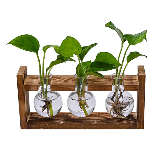 Brown Desktop Plant Propagation Station - Rustic Wooden Stand with 3 Glass Bulb Vases for Hydroponics & Cuttings - Mekamart Australia