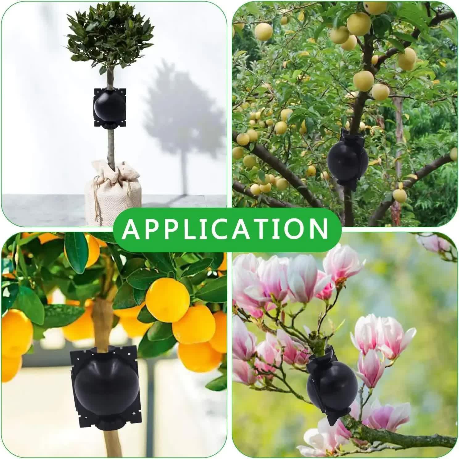 5-Pack Transparent Reusable Plant Air Layering Propagation Pod (Diameter: 5cm) - Anti-Waterlogging Grafting Root Ball Rooting Device for Flower & Fruit Trees - Mekamart Australia