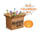 Mystery Box - BIG SURPRISE- Halloween 2025 - Mekamart Australia